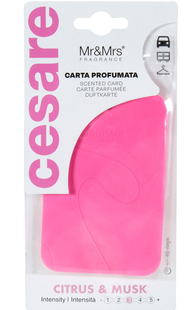 Освіжувач повітря для автомобіля - Mr&Mrs Fragrance Cesare Scented Card Citrus/Musk НФ-00014120 фото